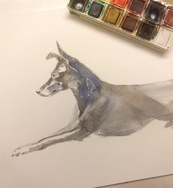 aquarel