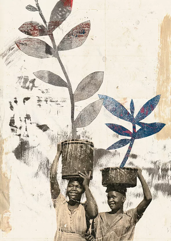 collage 23