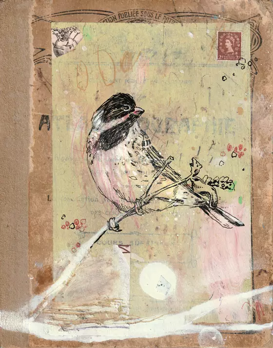 collage vogel