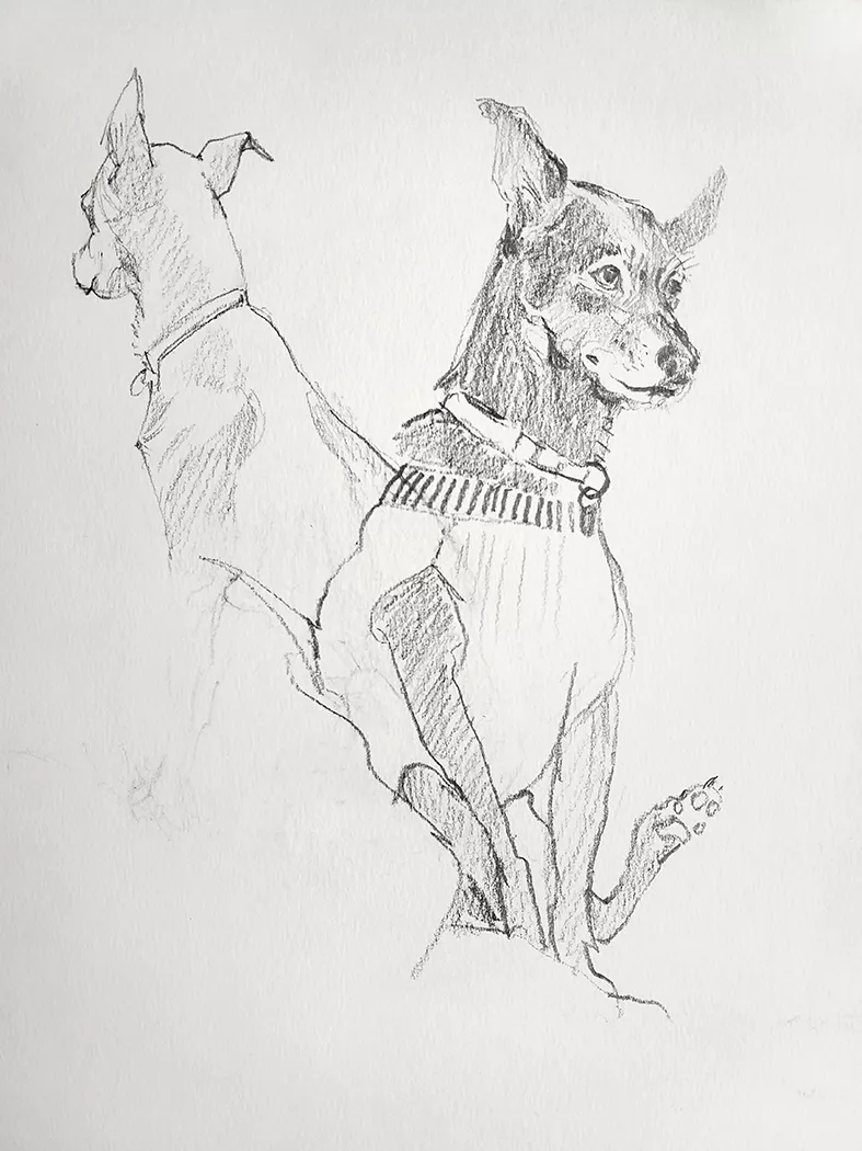 Odie