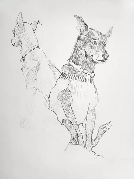 Odie