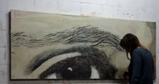 oog