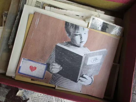 postkaart loopvis louis