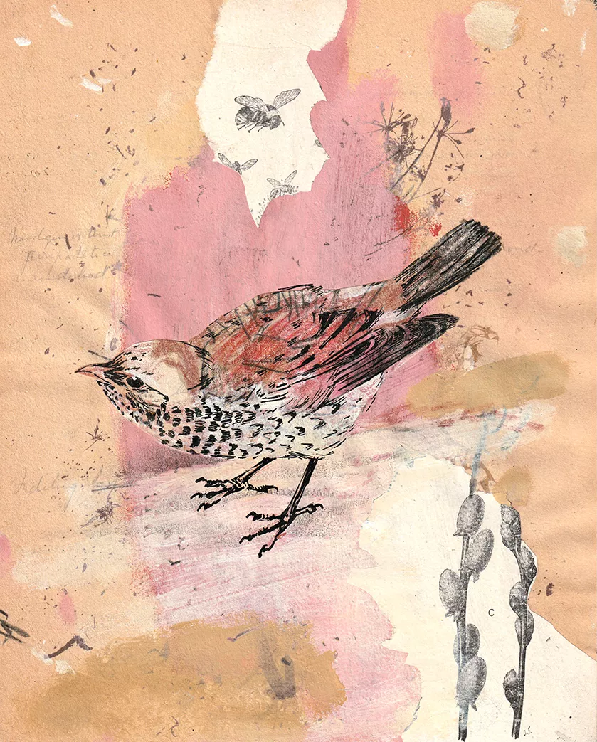 vogel collage