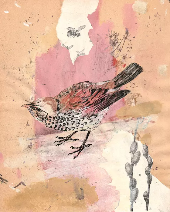 vogel collage
